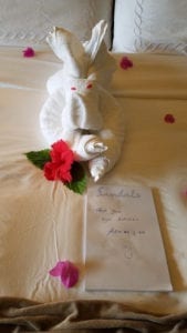 Towel animal from our butlers - Adrian and Ash - Sandals Royal Plantation - Ocho Rios - Jamaica