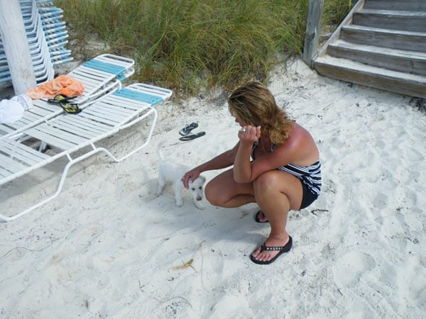 Travel Pal Tuesday - Turks Caicos - Tammy and puppy - 600 x 450